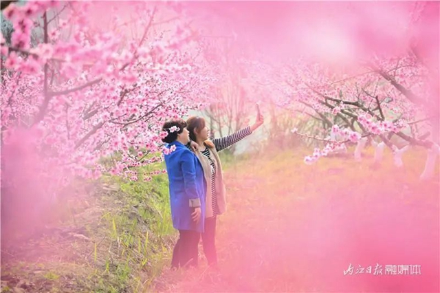 内江人，快来看桃花啦！(图10)