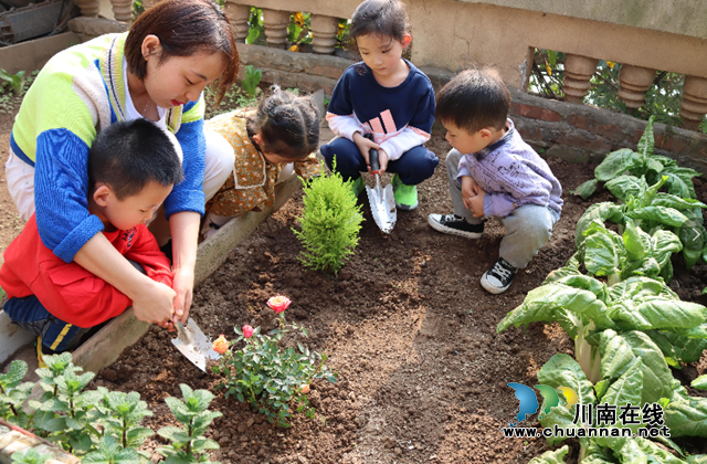 泸州：小萌娃幼儿园学植树(图1)