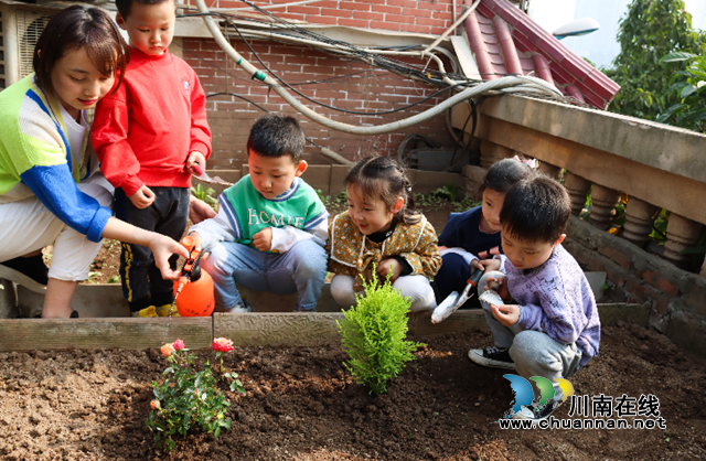 泸州：小萌娃幼儿园学植树(图2)