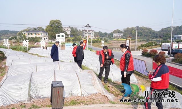 合江县科协：春耕农业技术培训送到田间地头(图3)