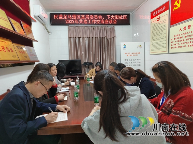 龙马潭区小市街道下大街社区：共建共享谋发展，凝心聚力做贡献(图1)