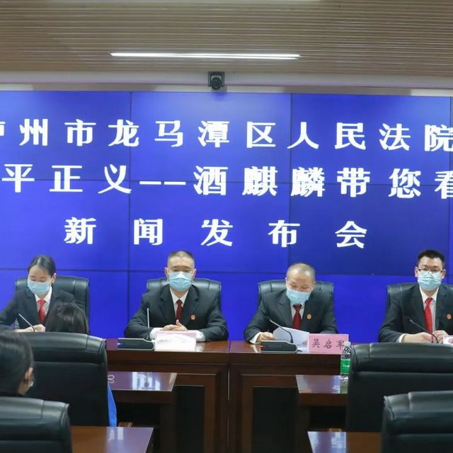 龙马潭区法院斩获信息工作先进法院与调研工作先进法院(图4)