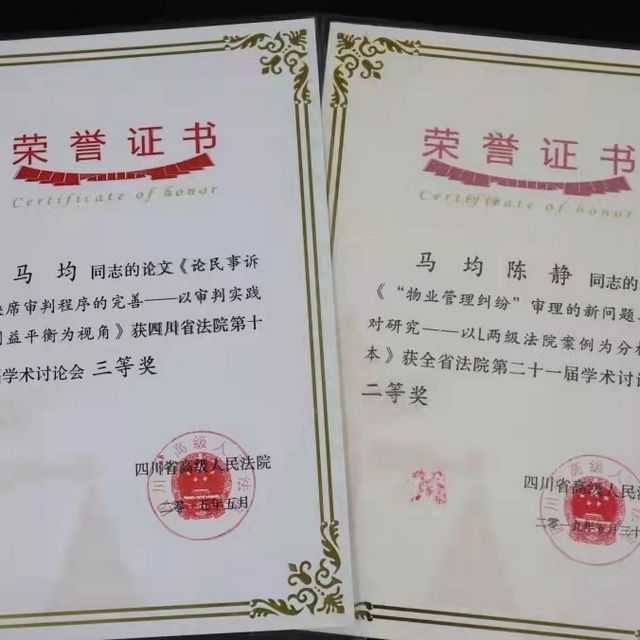 龙马潭区法院斩获信息工作先进法院与调研工作先进法院(图9)