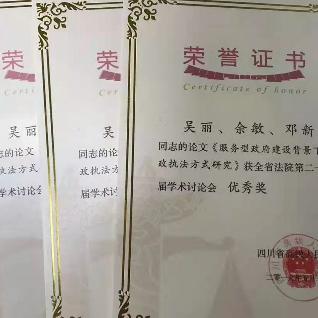 龙马潭区法院斩获信息工作先进法院与调研工作先进法院(图8)