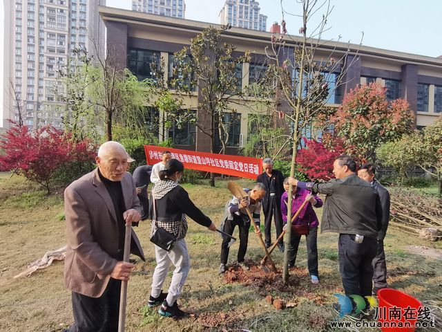 鱼塘街道望山坪社区：公益植树添新绿 党建引领增光彩(图3)