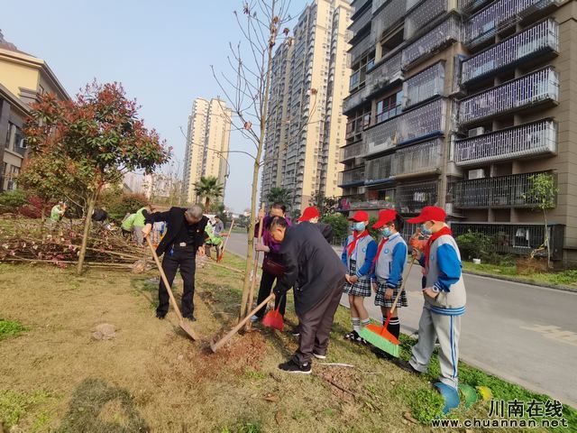 鱼塘街道望山坪社区：公益植树添新绿 党建引领增光彩(图4)