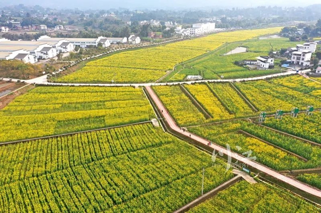 泸州科技特派员“双百工程”工作启动,将开展培训100场次(图1) 泸州科技特派员“双百工程”工作启动,将开展培训100场次(图1)