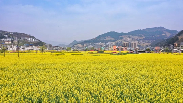 绝不能错过的赏花盛宴!三月哪里美如画,正是双沙油菜花……(图9) 绝不能错过的赏花盛宴!三月哪里美如画,正是双沙油菜花……(图9)