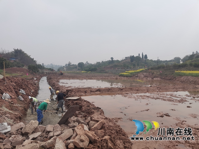 藏粮于地，藏粮于技！泸县牛滩镇建设高标准农田8400亩(图5)