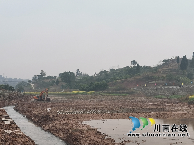 藏粮于地，藏粮于技！泸县牛滩镇建设高标准农田8400亩(图4)