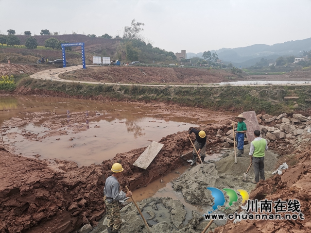 藏粮于地，藏粮于技！泸县牛滩镇建设高标准农田8400亩(图6)