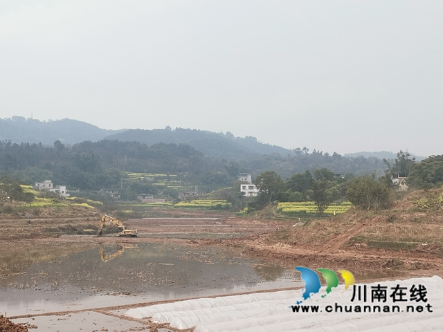藏粮于地，藏粮于技！泸县牛滩镇建设高标准农田8400亩(图7)