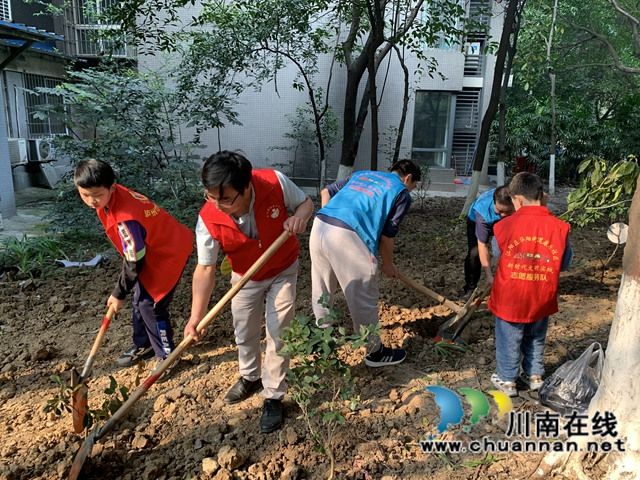 江阳区华阳街道：为小区添一抹绿，守护美好家园(图3)