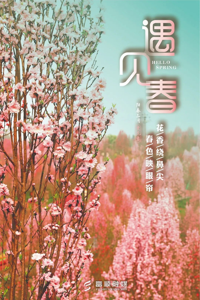 春至“豆花城” | 富顺周末踏青来这就对了！(图2)