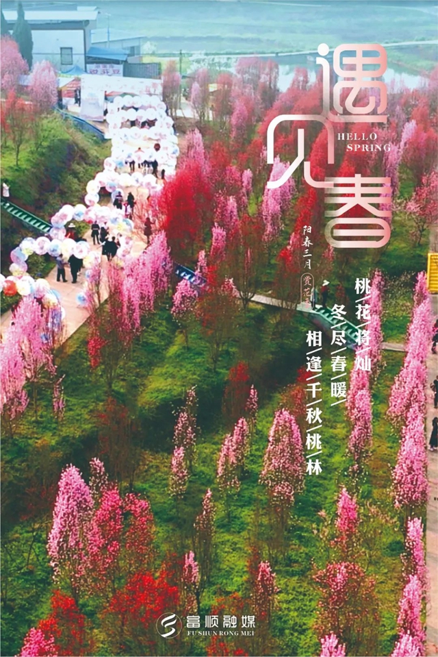 春至“豆花城” | 富顺周末踏青来这就对了！