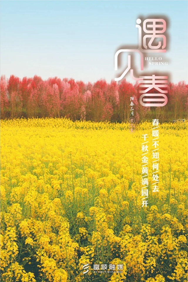 春至“豆花城” | 富顺周末踏青来这就对了！(图5)