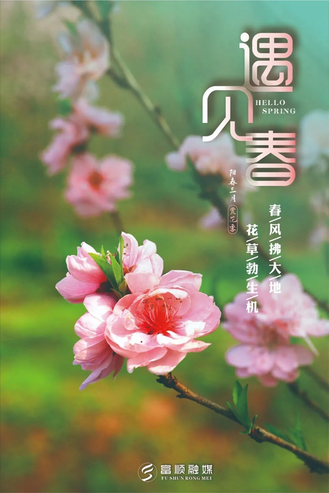 春至“豆花城” | 富顺周末踏青来这就对了！(图6)