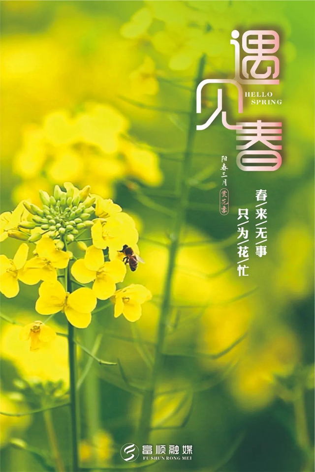 春至“豆花城” | 富顺周末踏青来这就对了！(图4)