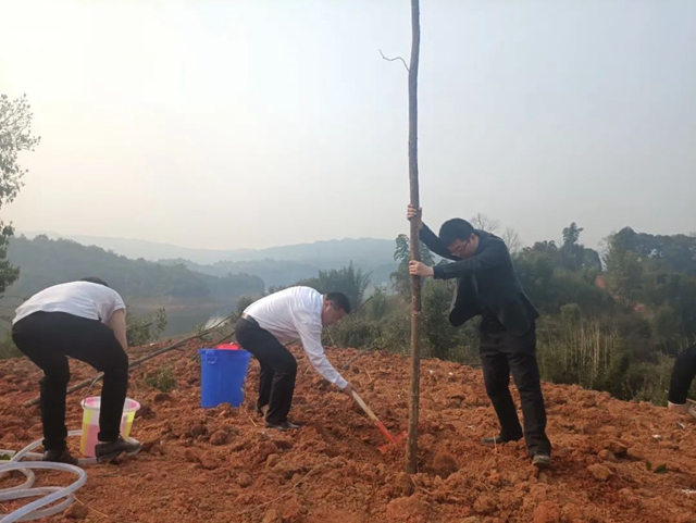 泸州市2022年完成义务植树30万株(图3) 泸州市2022年完成义务植树30万株(图3)