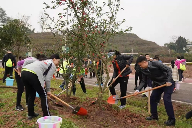 泸州市2022年完成义务植树30万株(图2) 泸州市2022年完成义务植树30万株(图2)