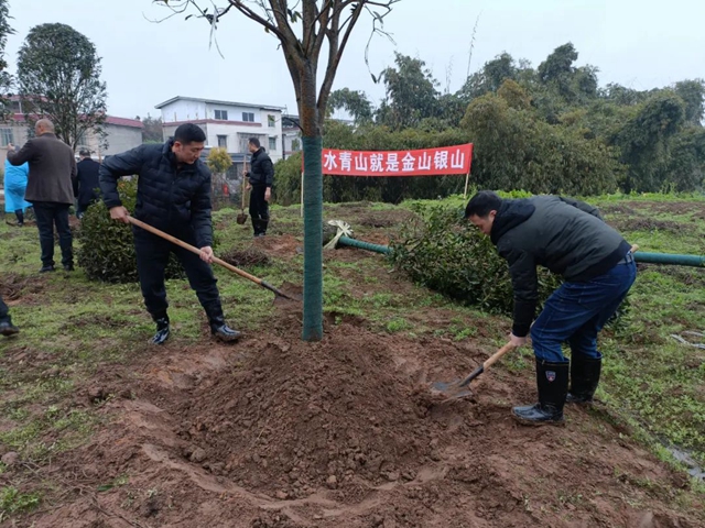 泸州市2022年完成义务植树30万株(图4) 泸州市2022年完成义务植树30万株(图4)