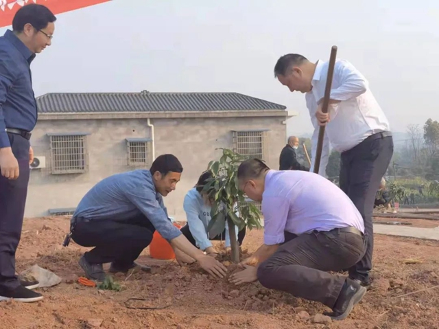 泸州市2022年完成义务植树30万株(图5) 泸州市2022年完成义务植树30万株(图5)