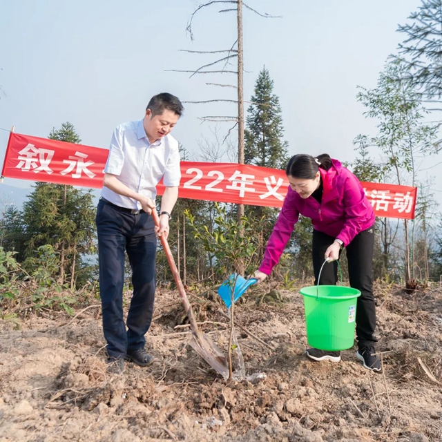 泸州市2022年完成义务植树30万株(图6) 泸州市2022年完成义务植树30万株(图6)