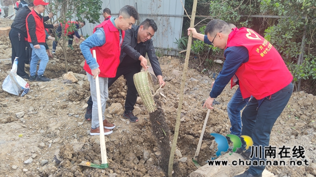 古蔺县观文镇：种下一棵小树，撒播一片希望(图1)