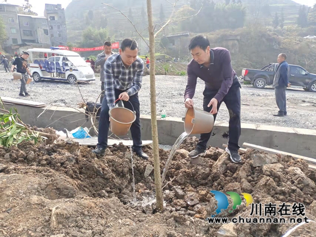 古蔺县观文镇：种下一棵小树，撒播一片希望(图4)