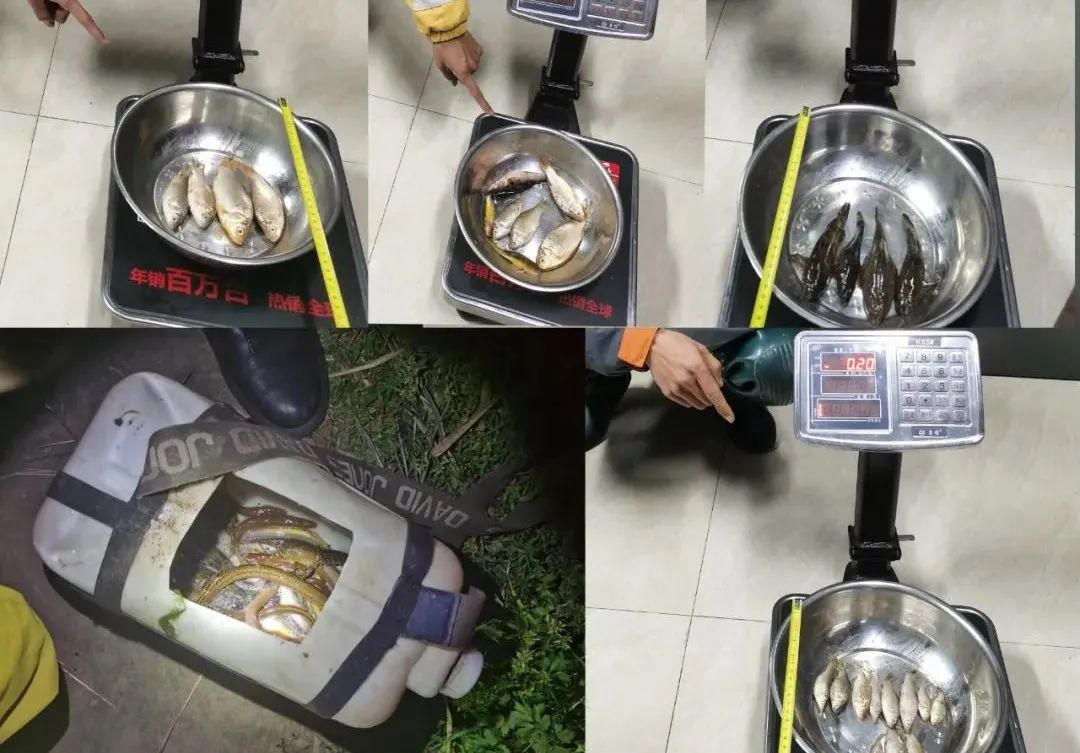 办“满月酒”还能这样省钱？泸州4人迷惑操作得不偿失……(图2)