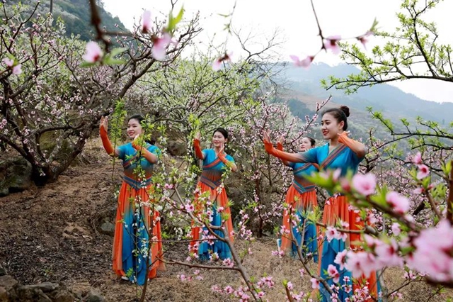 叙永乌蒙花海迎来盛花期，花舞人间最诗意！(图2)