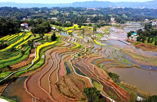《人民日报》头版关注泸州纳溪春耕生产(图6) 《人民日报》头版关注泸州纳溪春耕生产(图6)