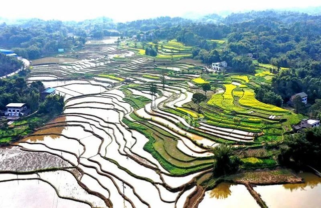 《人民日报》头版关注泸州纳溪春耕生产(图7) 《人民日报》头版关注泸州纳溪春耕生产(图7)