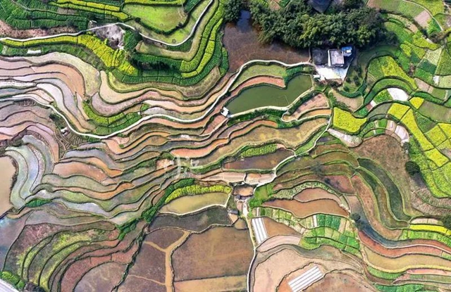 《人民日报》头版关注泸州纳溪春耕生产(图8) 《人民日报》头版关注泸州纳溪春耕生产(图8)