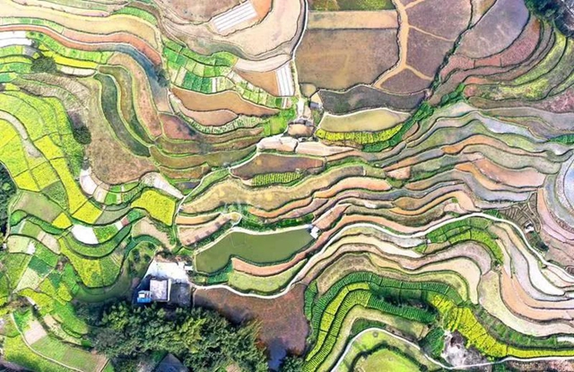 《人民日报》头版关注泸州纳溪春耕生产(图9) 《人民日报》头版关注泸州纳溪春耕生产(图9)