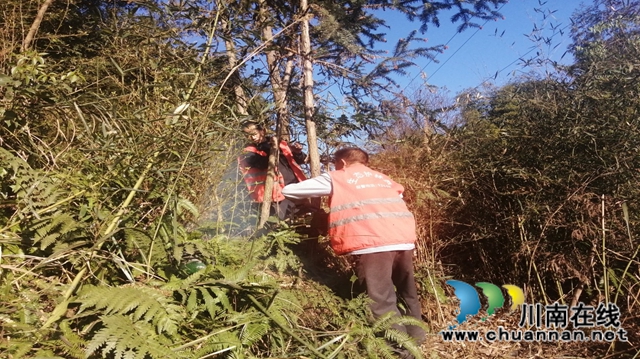 合江县榕山镇开展统战人士森林防灭火应急演练(图3)