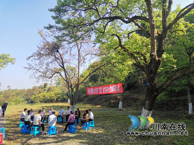 凝聚生态保护共识！泸县云锦镇人大代表、政协委员助推百年梨园绿色发展(图1)