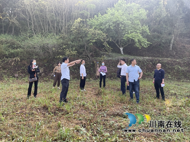 凝聚生态保护共识！泸县云锦镇人大代表、政协委员助推百年梨园绿色发展(图5)