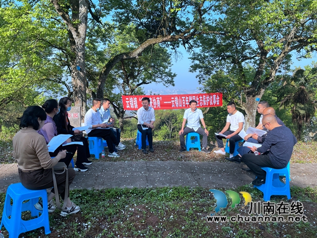 凝聚生态保护共识！泸县云锦镇人大代表、政协委员助推百年梨园绿色发展(图6)