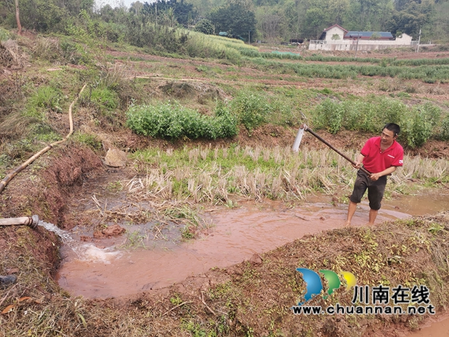 泸县三溪口水库开闸放水  满足6.5万稻田春耕所需(图1)