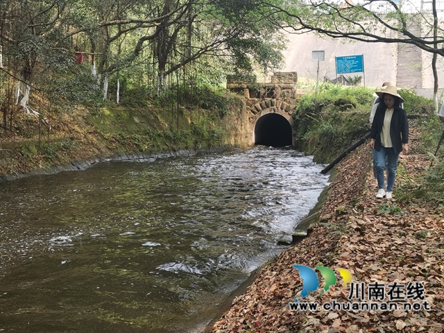 泸县三溪口水库开闸放水  满足6.5万稻田春耕所需(图4)