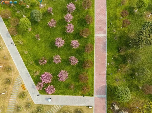 网友惊呼！天上看内江高新区，你怎么能这样美(图15)