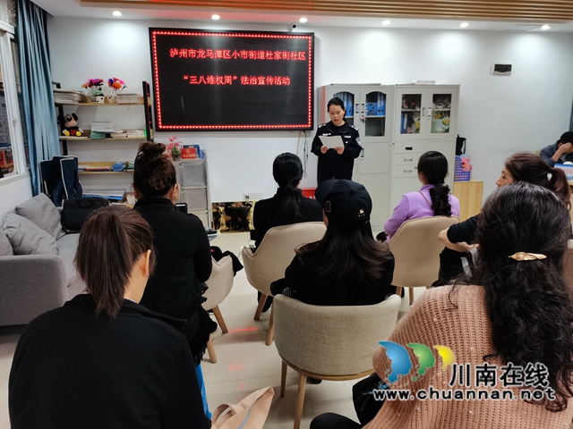 龙马潭区小市街道杜家街社区开展妇女专项法治宣传活动(图3)