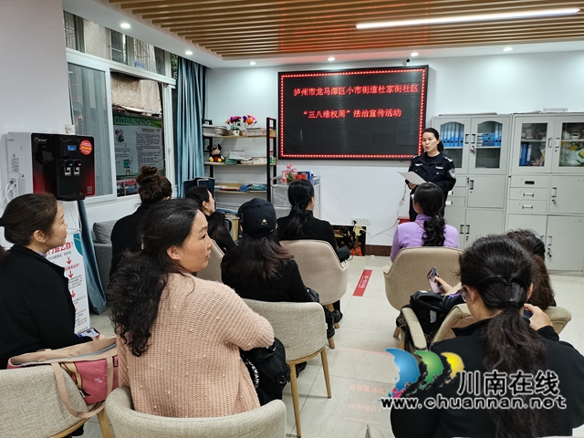 龙马潭区小市街道杜家街社区开展妇女专项法治宣传活动(图2)