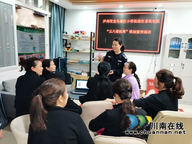 龙马潭区小市街道杜家街社区开展妇女专项法治宣传活动(图5)