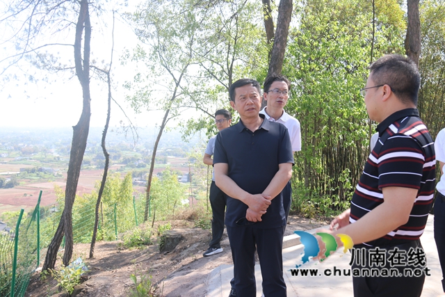 四川省供销社合作社联合社赴泸县百和镇开展调研指导工作(图1)