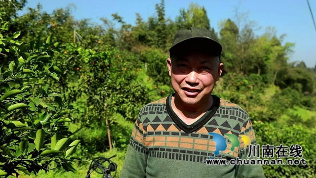 蓝莓、柑橘、猕猴桃……合江县甘雨镇产业多点开花！(图6)