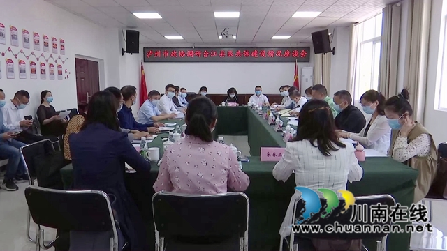马宗慧调研合江医共体建设工作(图4)
