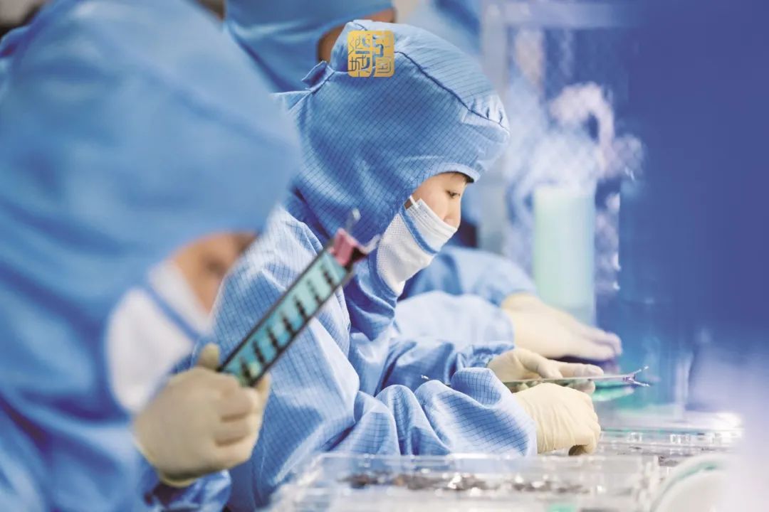 七大重点+七大行动丨泸州出台未来五年工业发展行动指南(图5) 5.jpg