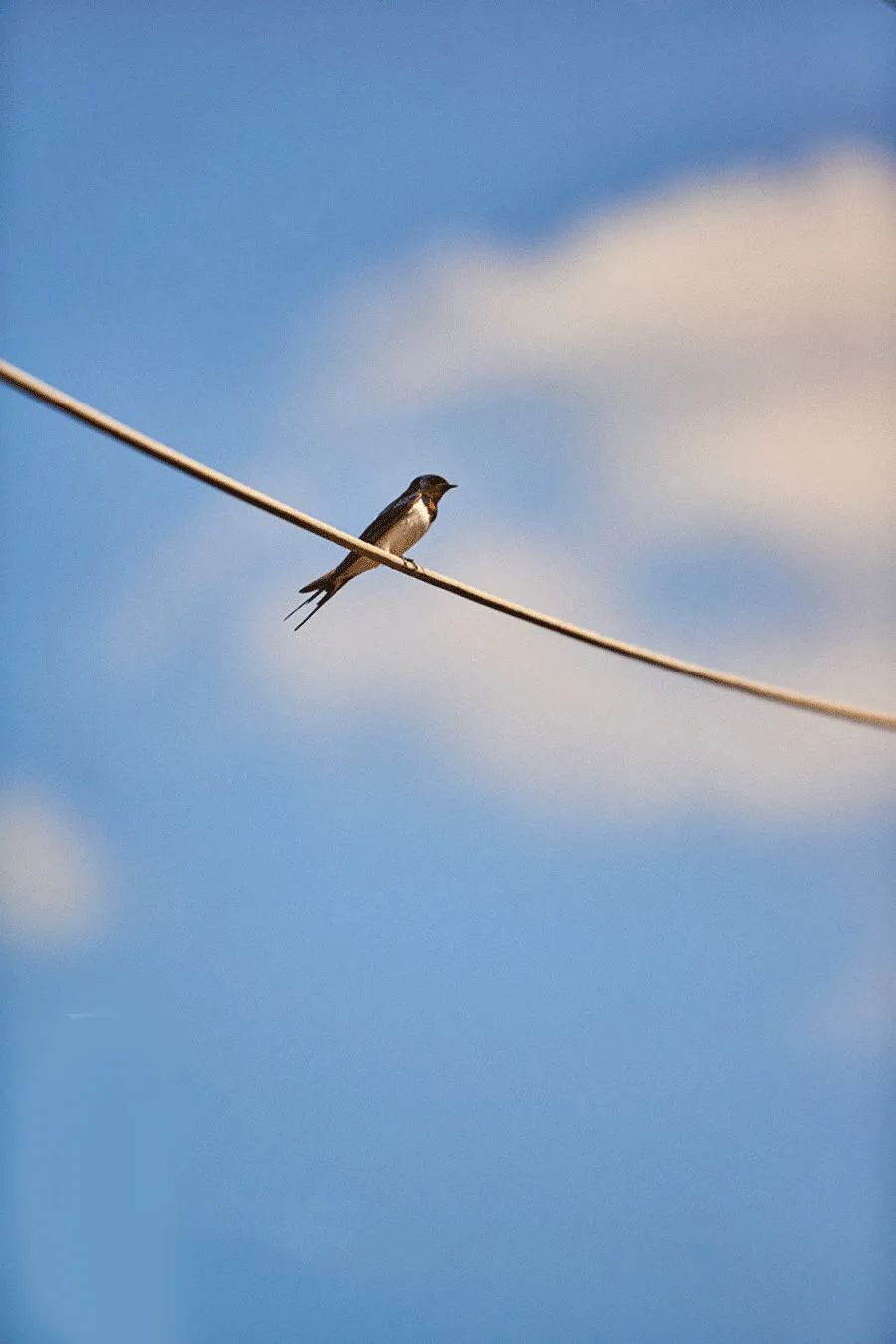 【春分】今天起,这两种东西不能再吃了!(图3) 3.jpg